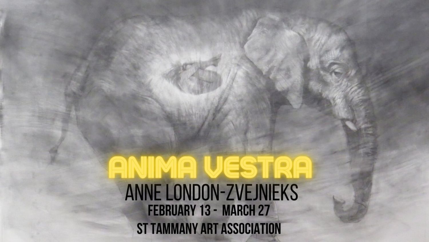 ANIMA VESTRA Explore the relationship between animals and women