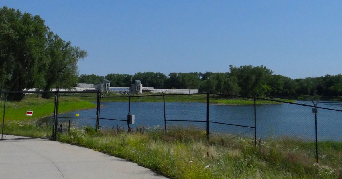 The Great Ape Project