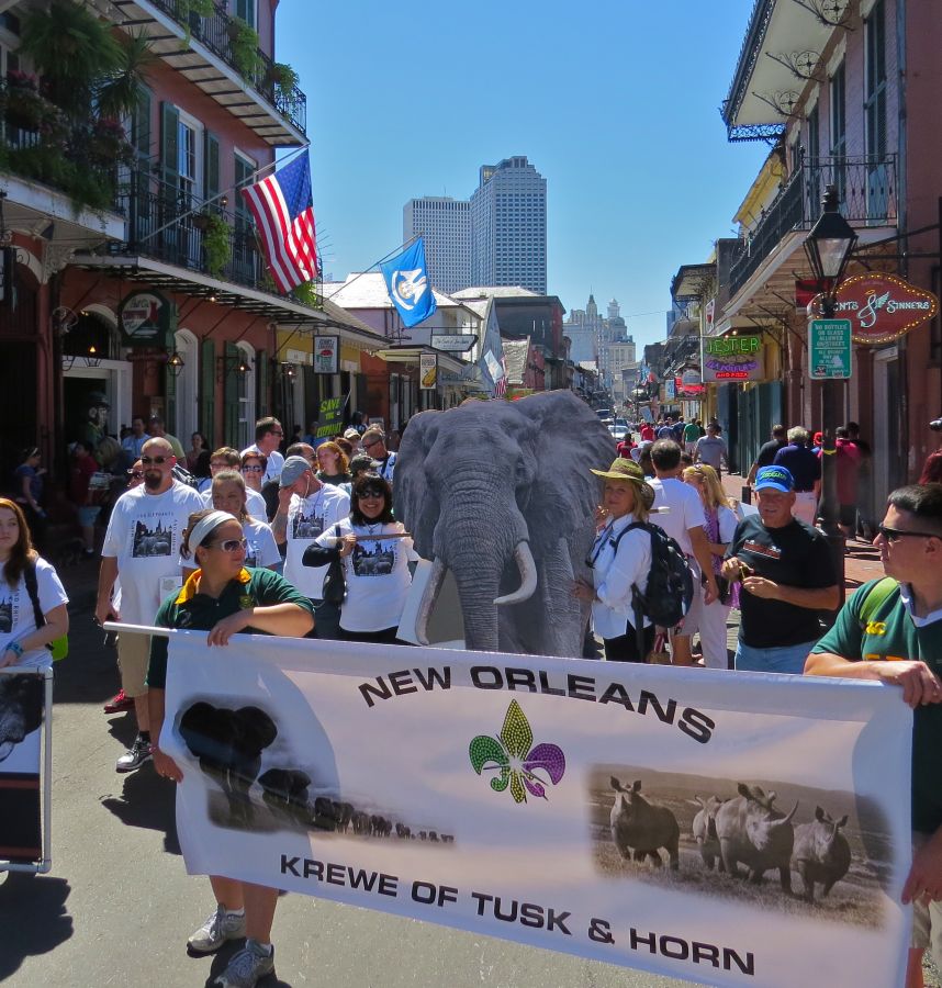 Marching through the French Quarter